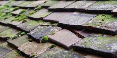 Hills End roof repair costs